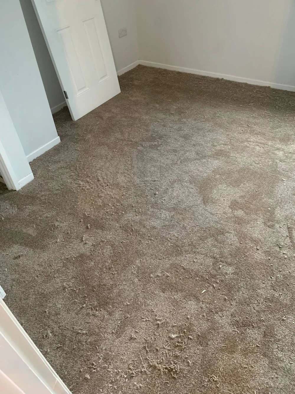 Mink carpet in a bedroom